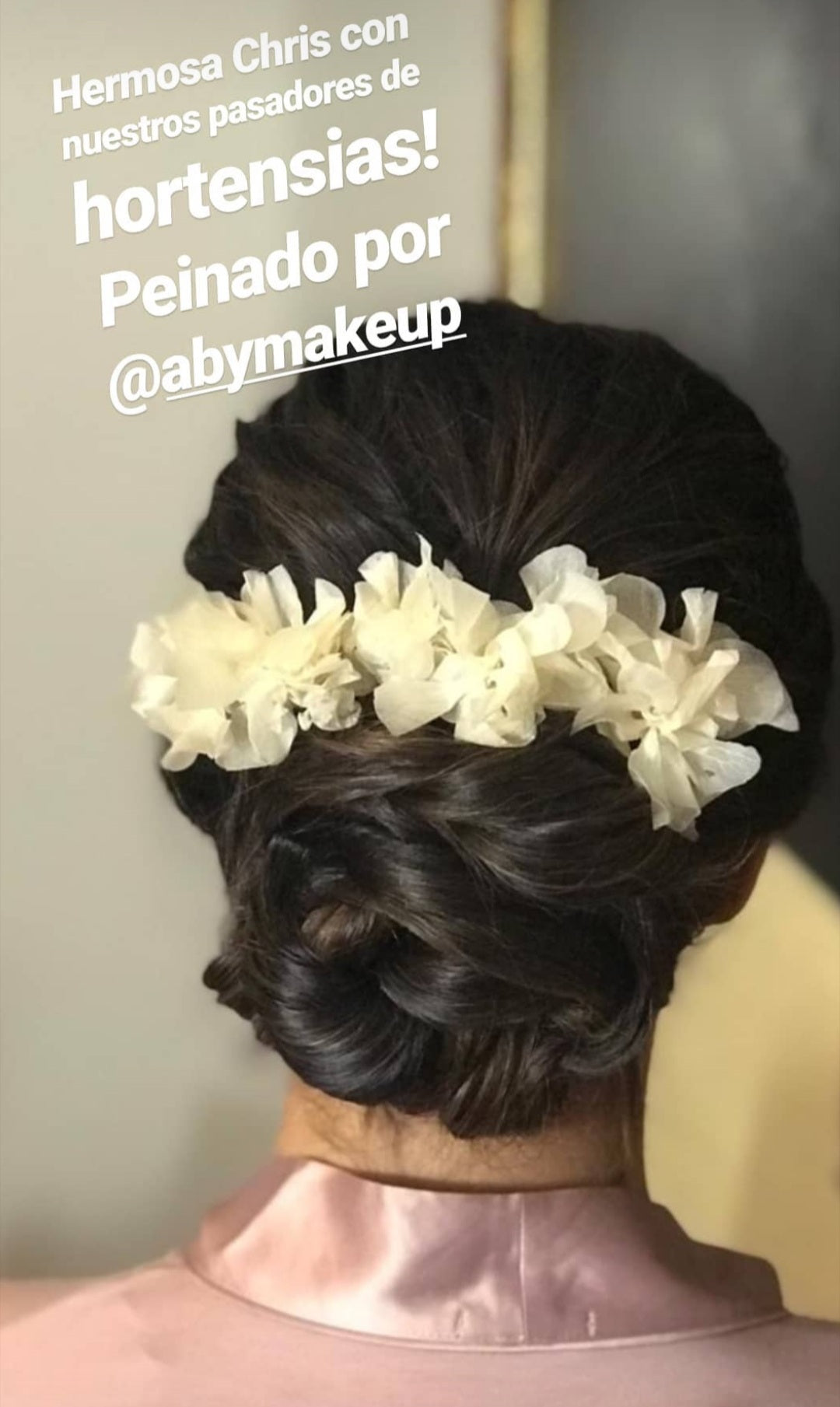 Set de 5 Pasadores de Hortensias Preservadas