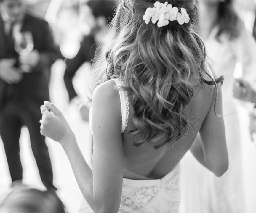 Set de 5 Pasadores de Hortensias Preservadas